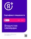 Владислав Шевердак сертификат 6