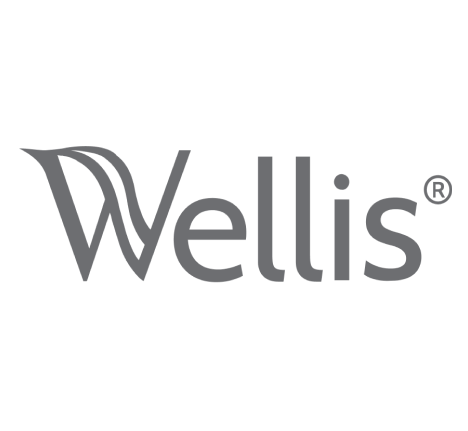 SEO-продвижение сайта-каталога по продаже спа-бассейнов wellis-spa.by
