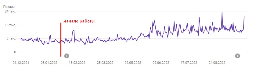 рост видимости после начала SEO продвижения